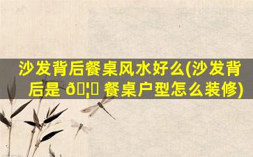 沙发背后餐桌风水好么(沙发背后是 🦅 餐桌户型怎么装修)